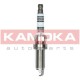 Kamoka 7100010 Spark Plug for Nissan, Citroen, Peugeot, Toyota, Dacia, Smart, Lotus, Daihatsu